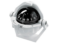 Magnetic compass