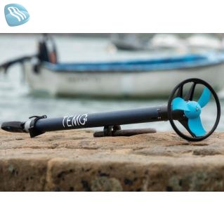 Motores eléctricos TEMO